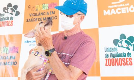 Campanha de Shopping em Maceió promove a adoção de animais.