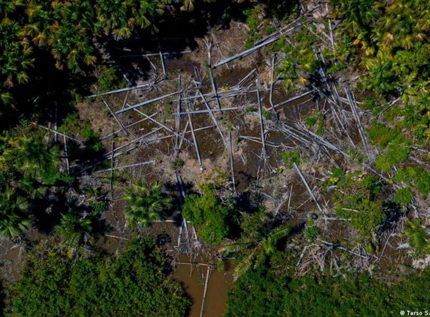 Brasil garante participação na COP26.