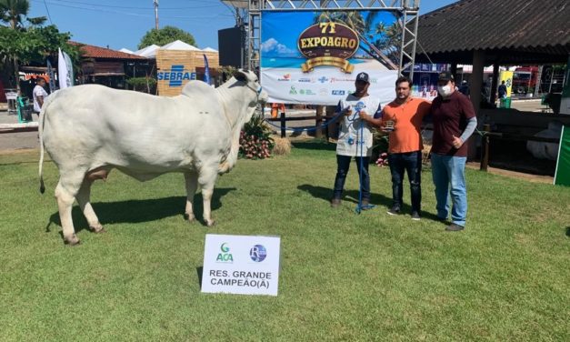 Criadores alagoanos e do Rio Grande do Norte levam troféus de Grande Campão.