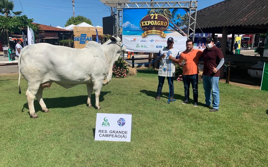 Criadores alagoanos e do Rio Grande do Norte levam troféus de Grande Campão.