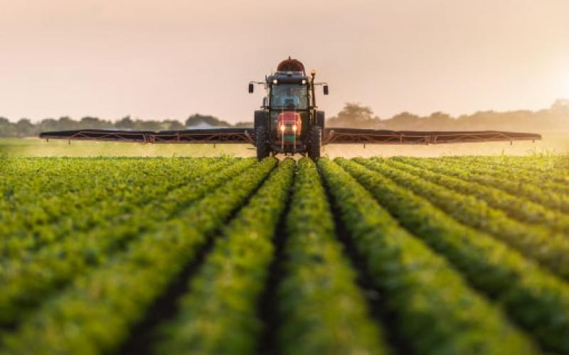 Agropecuária foi o setor que mais cresceu em 2019, segundo PIB divulgado pela SEPLAG