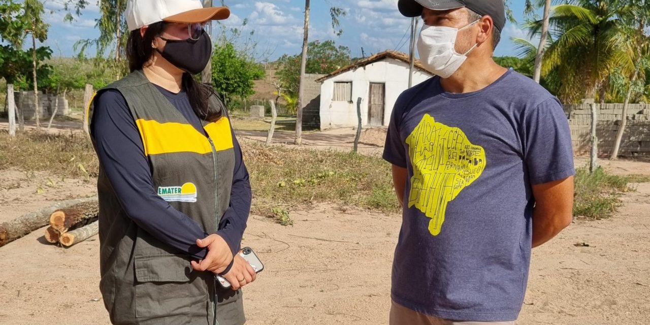 Edital para seleção de bolsistas é divulgado pela Emater e FAPEAL