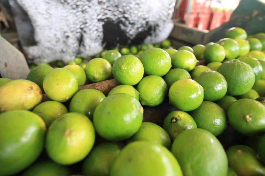 Aproximadamente R$7 milhões foram investidos na compra e doação de alimentos pela EMATER