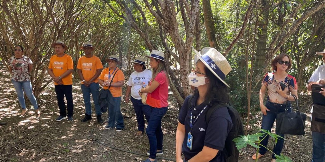 Produtores do Alagoas Maior participam de experiências de turismo rural em Goiás