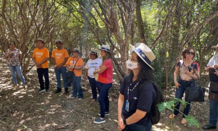 Produtores do Alagoas Maior participam de experiências de turismo rural em Goiás