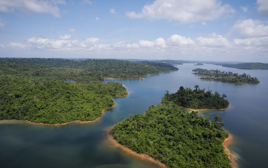 STF determina que governo reative Fundo Amazônia em 60 dias