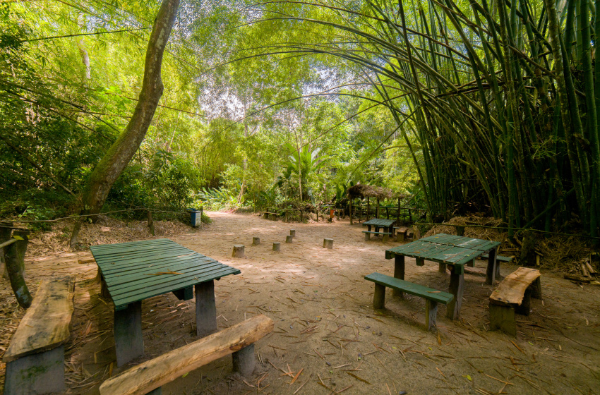 Prefeitura de Maceió promove trilhas ecológicas e capacitações durante a campanha “Somos Meio Ambiente”