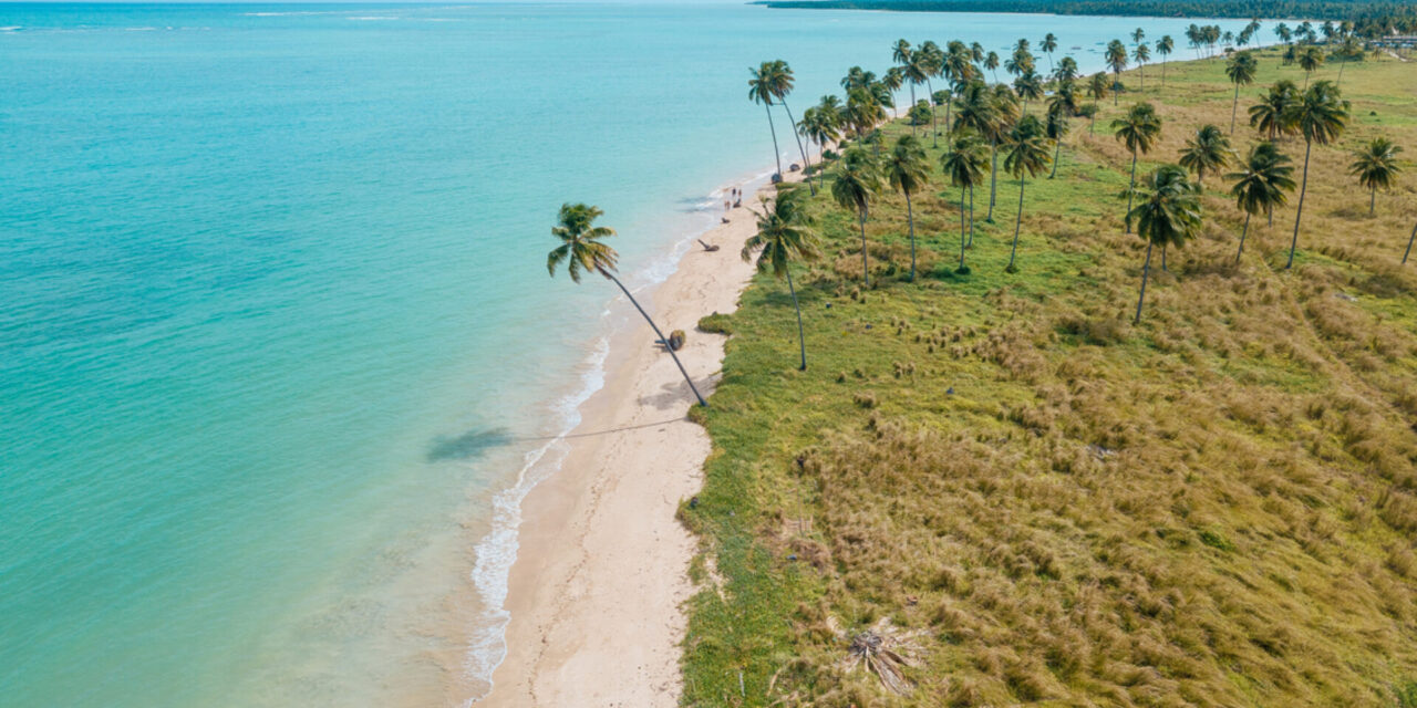 Bandeira Azul: Praia do Patacho recebe renovação do título internacional de sustentabilidade