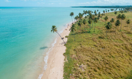 Bandeira Azul: Praia do Patacho recebe renovação do título internacional de sustentabilidade