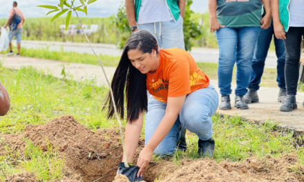 Arborizar é Massa: Alurb avança com primeira etapa do projeto em Maceió