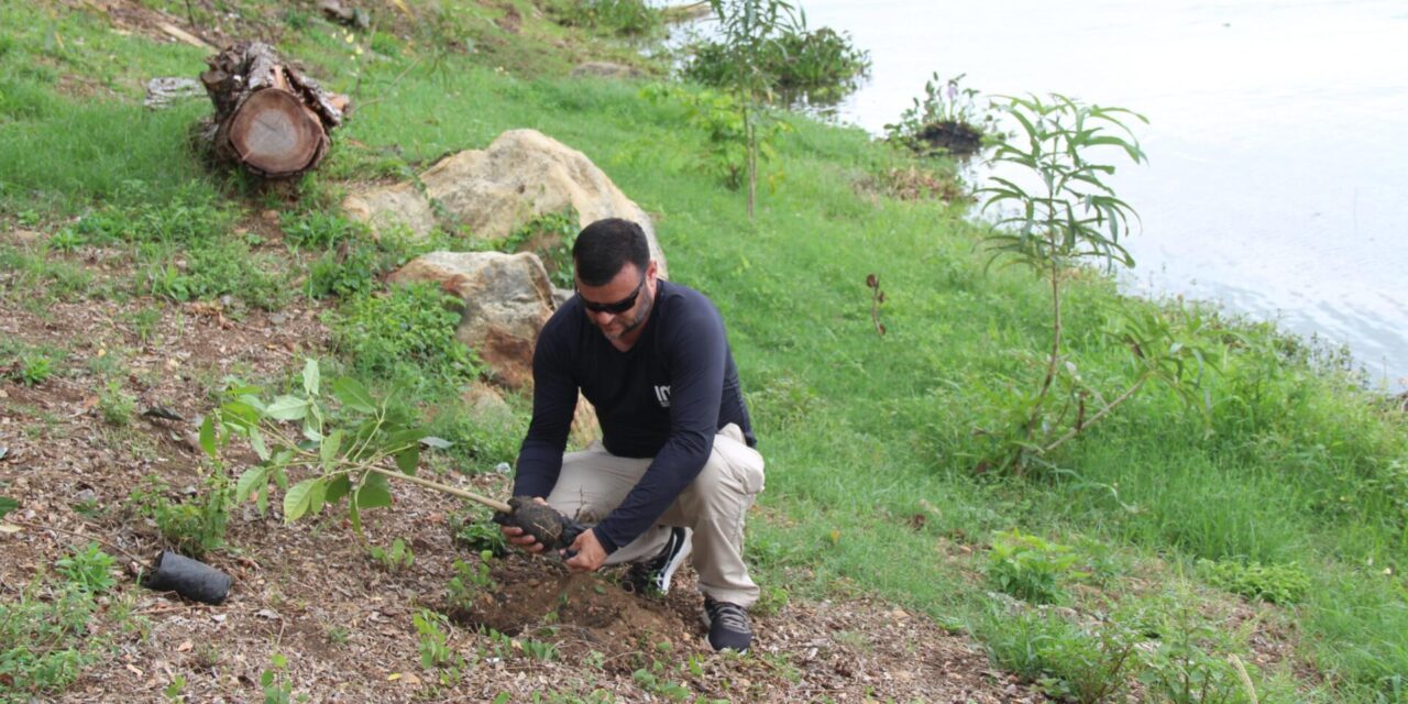 IMA lança o programa que promove arborização e preservação ambiental