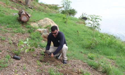 IMA lança o programa que promove arborização e preservação ambiental