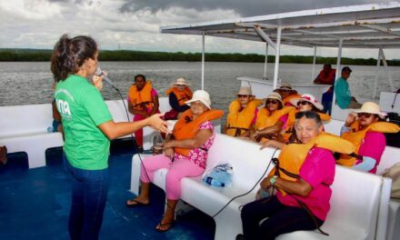 Barco Escola: veja como se inscrever no projeto de educação ambiental do IMA