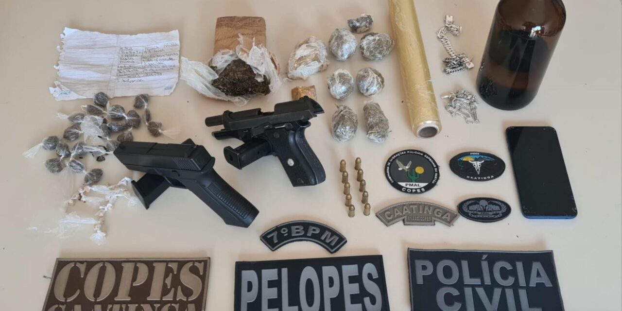 Polícia Militar de Alagoas apreende 146 armas e 74,7 kg de drogas em novembro