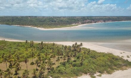 IMA sobrevoa praias do Litoral Norte para tentar identificar novos pontos de maré vermelha