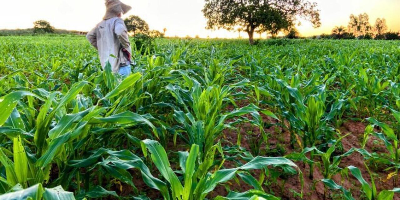 Governador encaminha à ALE projetos de lei que beneficiam a agricultura familiar no estado