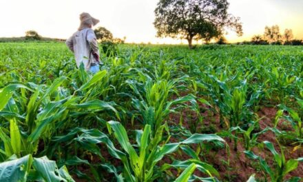 Governador encaminha à ALE projetos de lei que beneficiam a agricultura familiar no estado