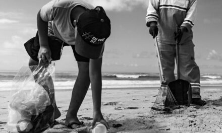 IMA divulga a lista dos semifinalistas e vencedores do VII Concurso de Fotografia Ambiental