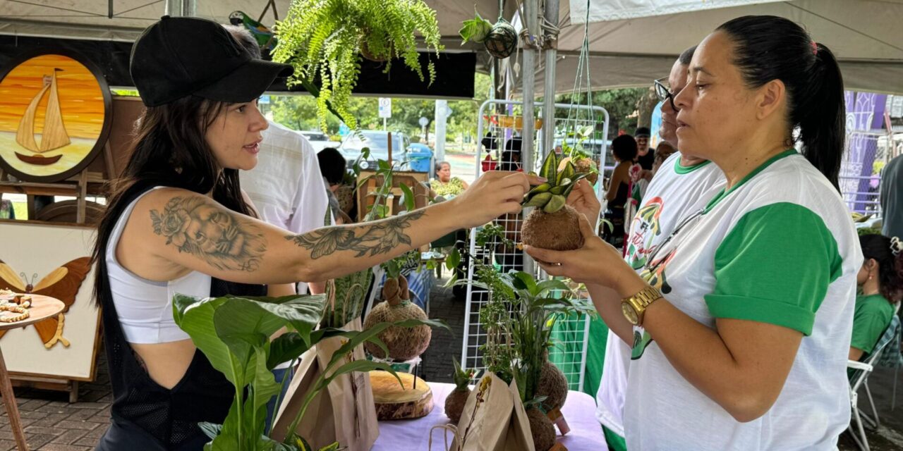 Edição de setembro da Feira sustentável Sabor do Campo será realizada neste domingo