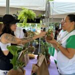 Edição de setembro da Feira sustentável Sabor do Campo será realizada neste domingo