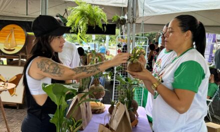 Edição de setembro da Feira sustentável Sabor do Campo será realizada neste domingo