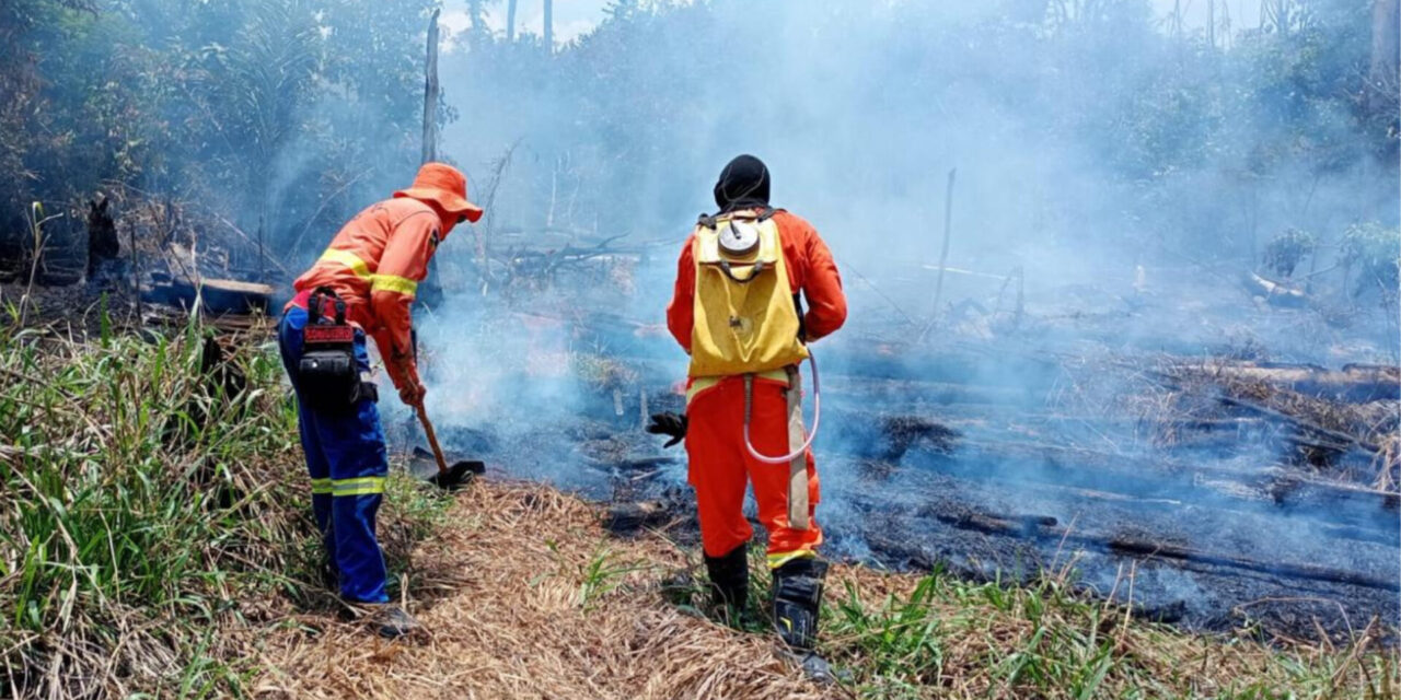 Corpo de Bombeiros combate incêndio em vegetação no mirante de Santa Terezinha