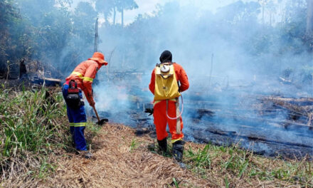 Corpo de Bombeiros combate incêndio em vegetação no mirante de Santa Terezinha