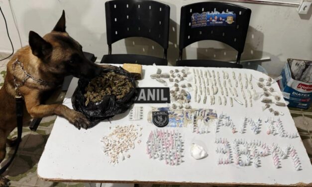 PM apreende arma e drogas no Agreste alagoano